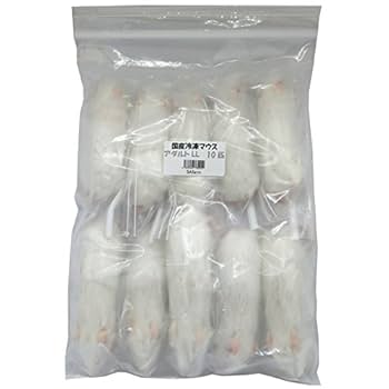 Amazon | 冷凍マウス アダルトLL10匹 国産 SAfarm | SAfarm